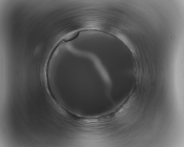 X0000089761291200707051826