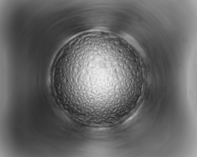 X0000089761292200707051826