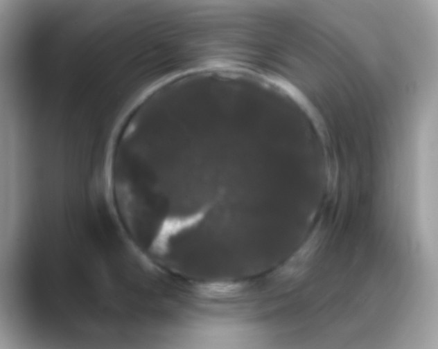 X0000089761294200707051826