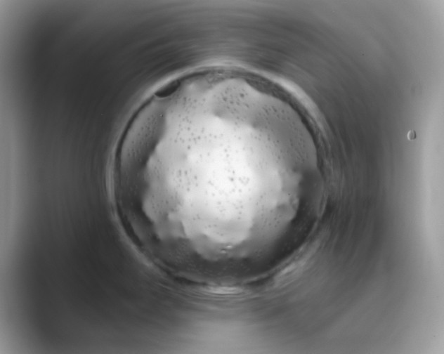 X0000089761295200707051826