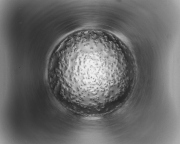 X0000089761296200707051826