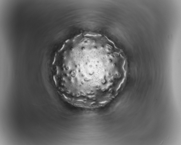 X0000089761297200707051826