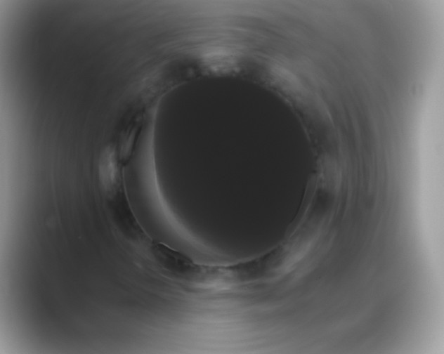 X0000089761298200707051826