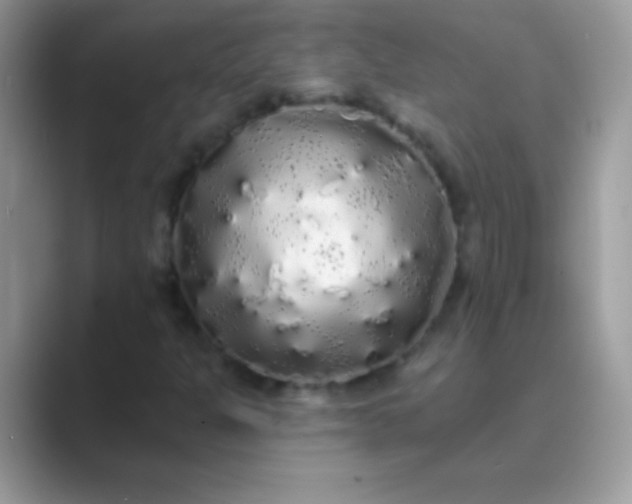 X0000089761301200707051826