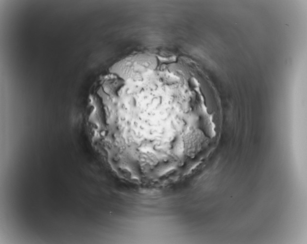 X0000089761302200707051826