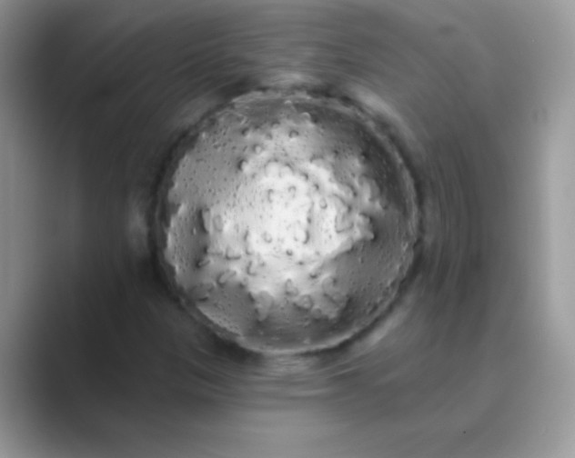 X0000089761305200707051826