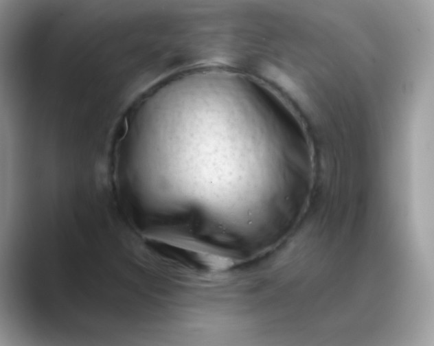 X0000089761308200707051826