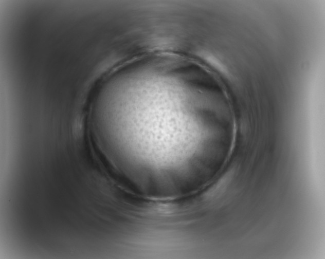 X0000089761309200707051826