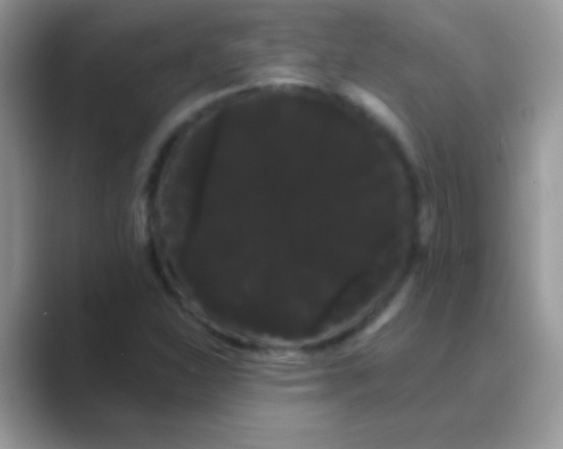 X0000089761310200707051826