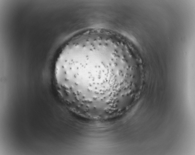 X0000089761311200707051826