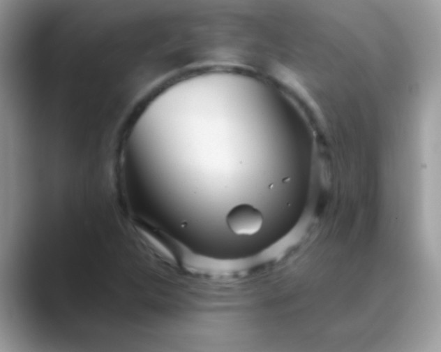 X0000089761312200707051826