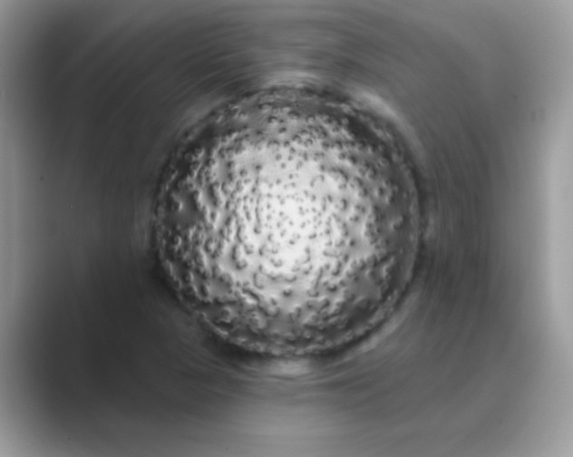 X0000089761313200707051826