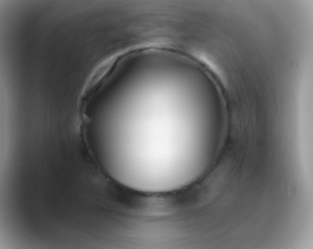 X0000089761316200707051826