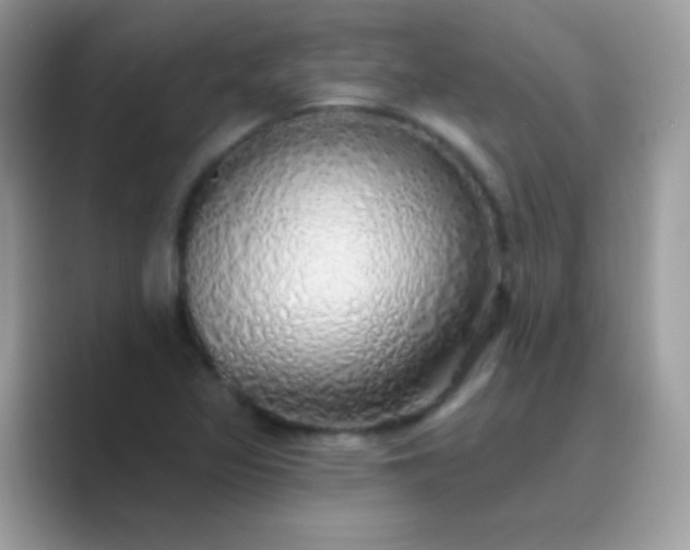 X0000089761317200707051826