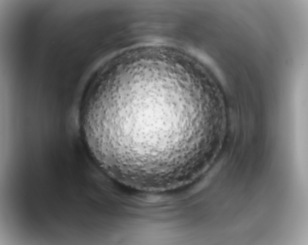 X0000089761318200707051826