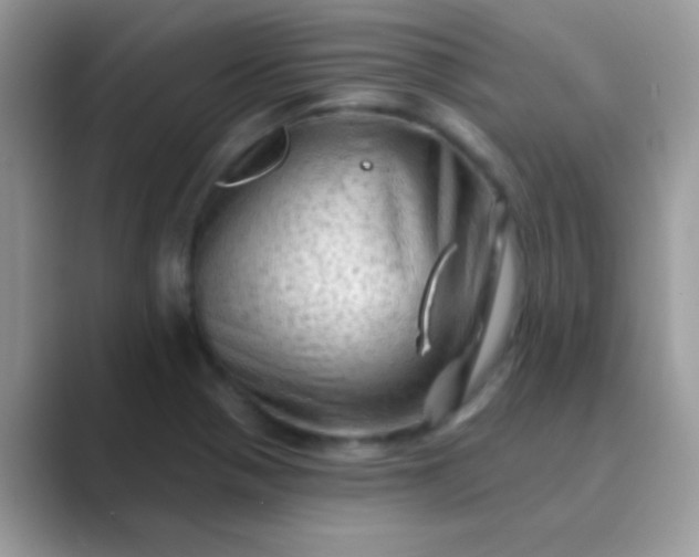 X0000089761321200707051826