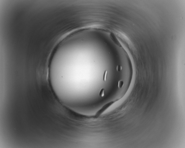 X0000089761324200707051826