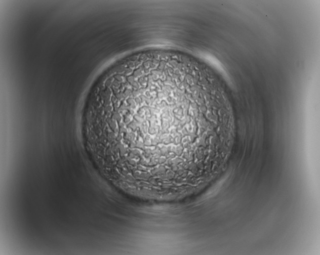 X0000089761326200707051826