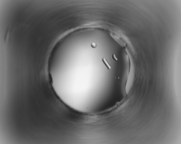 X0000089761328200707051826