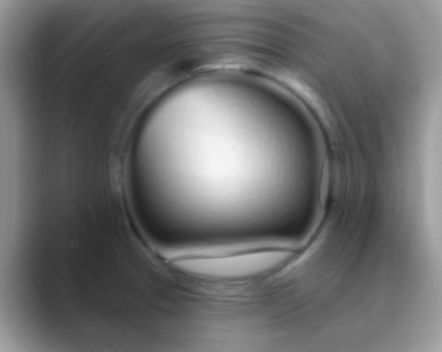 X0000089761329200707051826