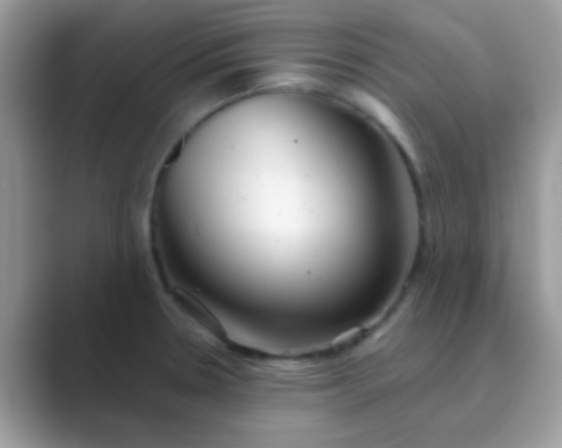 X0000089761330200707051826