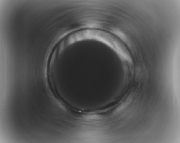 X0000089761331200707051826