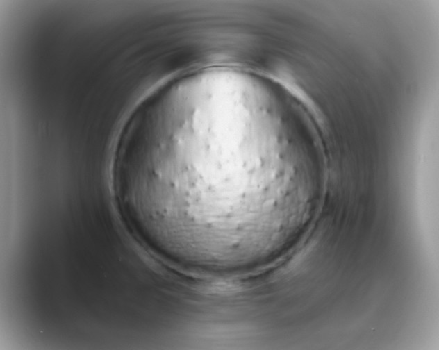 X0000089761333200707051826