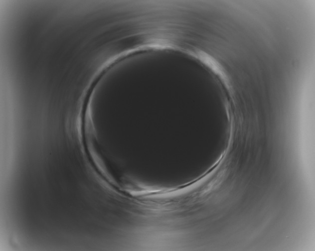 X0000089761334200707051826