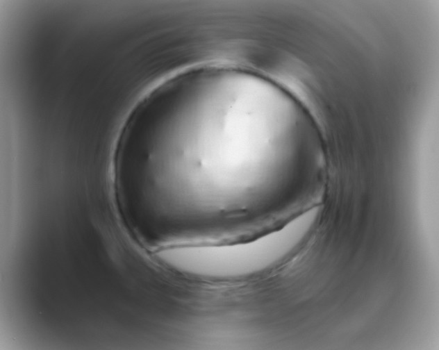 X0000089761335200707051826