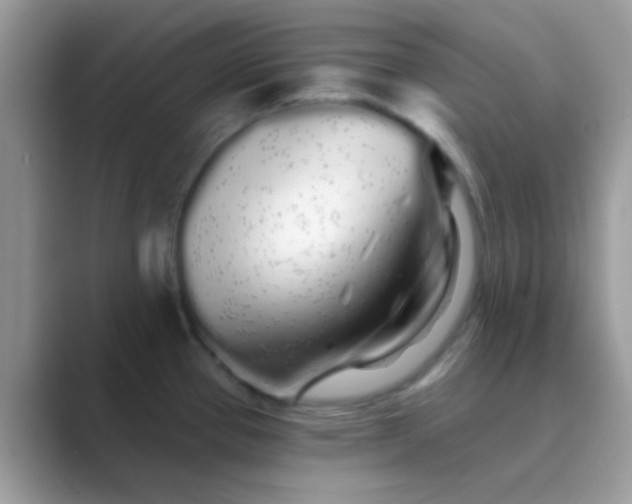 X0000089761337200707051826