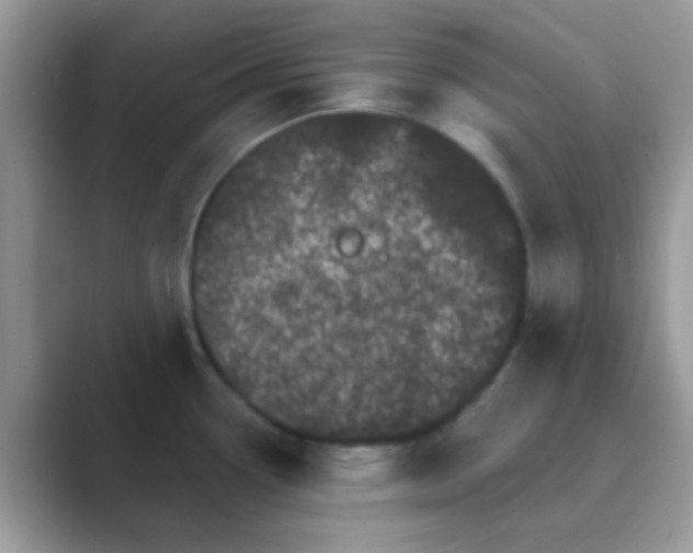 X0000089761338200707051826