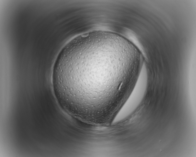 X0000089761339200707051826