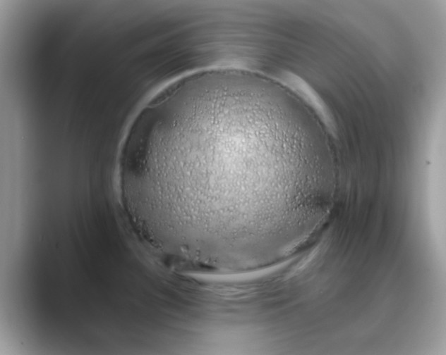 X0000089761340200707051826