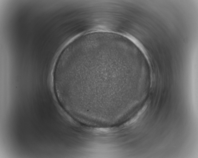 X0000089761341200707051826