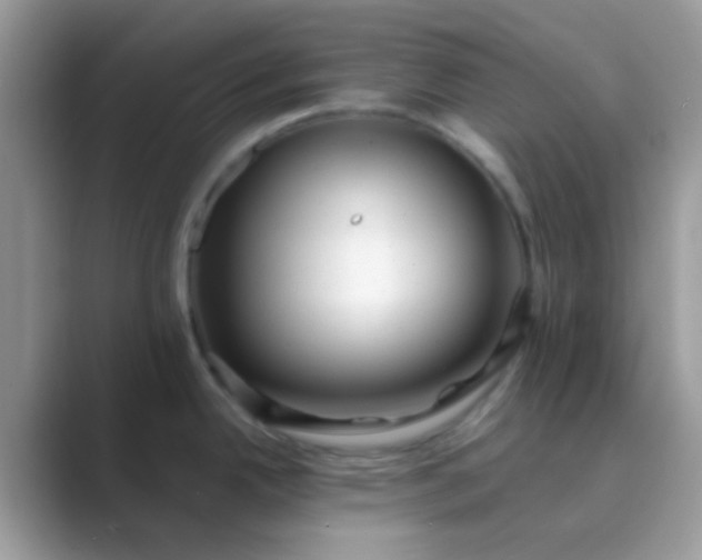 X0000089761342200707051826