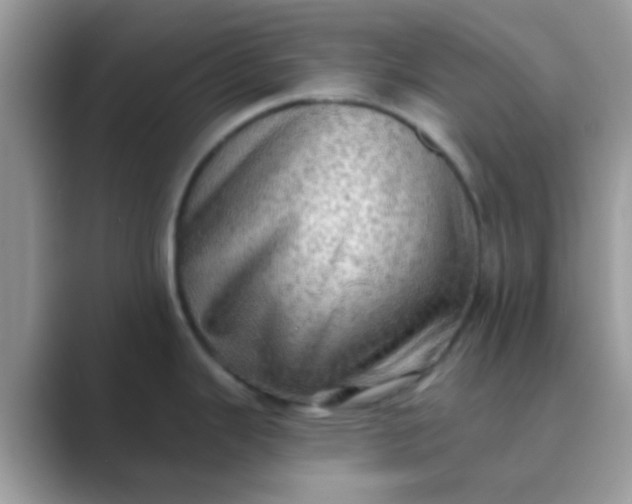 X0000089761343200707051826