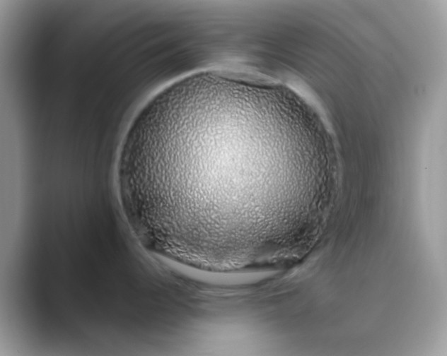 X0000089761344200707051826