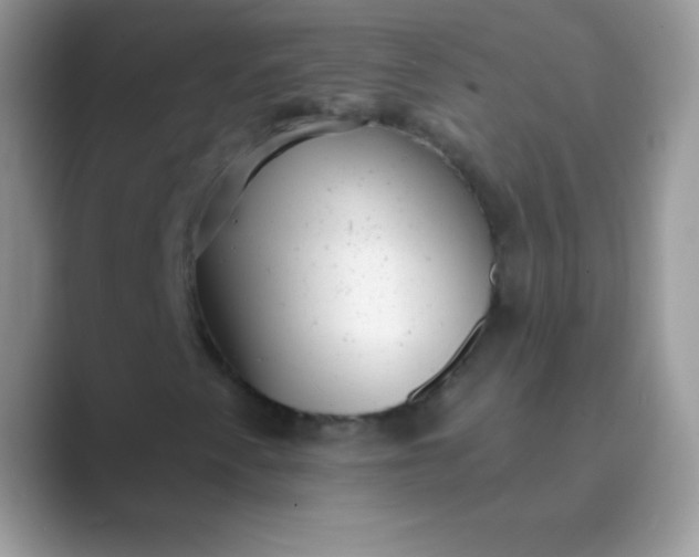 X0000089761345200707051826