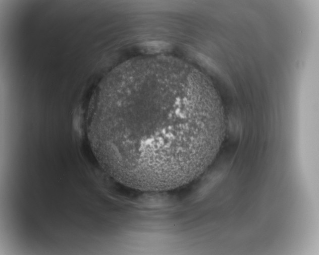 X0000089761346200707051826