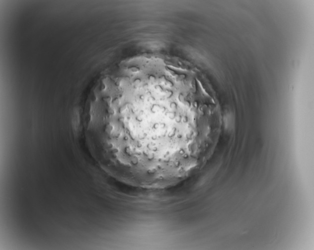 X0000089761347200707051826