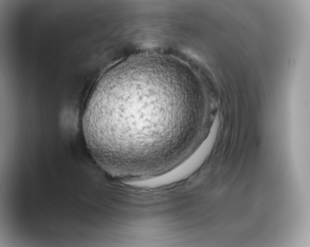 X0000089761348200707051826