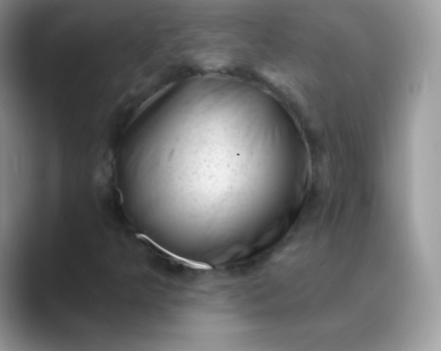 X0000089761349200707051826