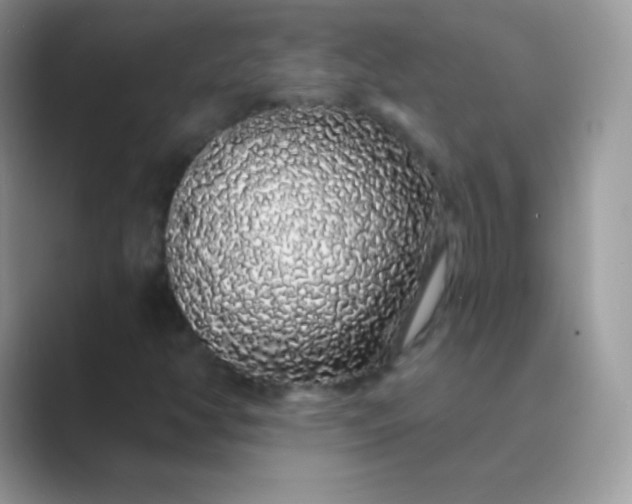 X0000089761350200707051826