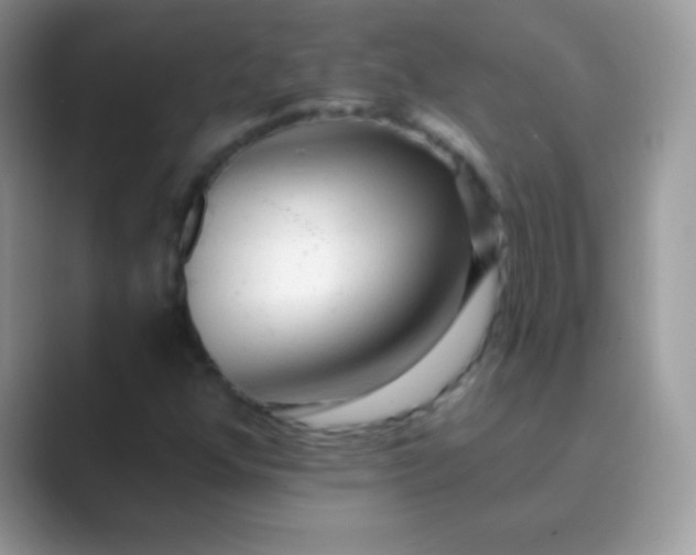 X0000089761352200707051826