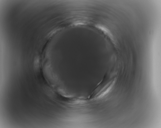 X0000089761353200707051826