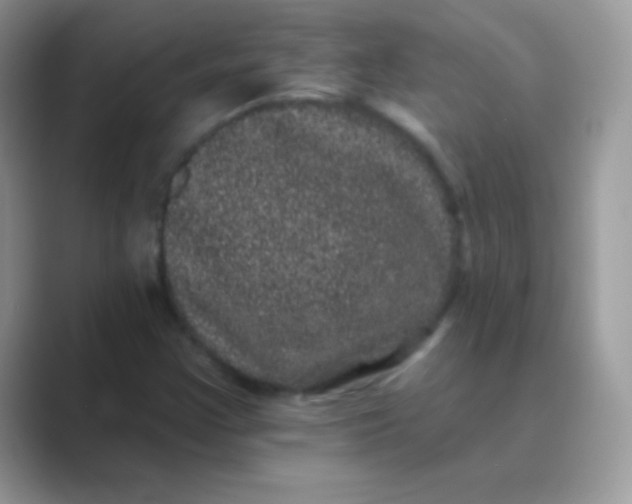 X0000089761355200707051826