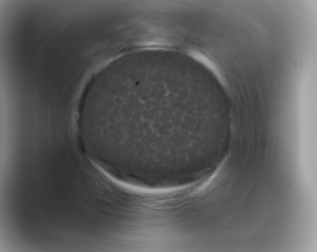 X0000089761357200707051826