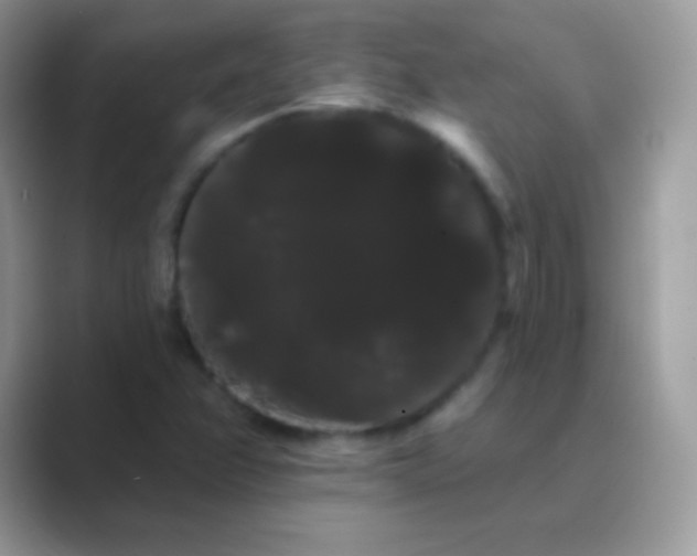 X0000089761358200707051826