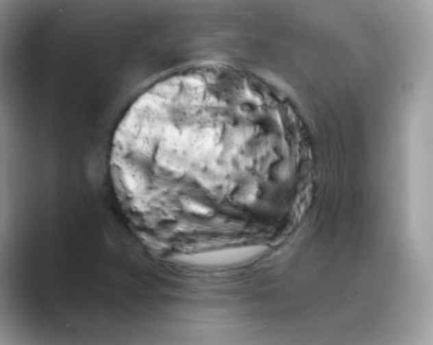 X0000089761359200707051826