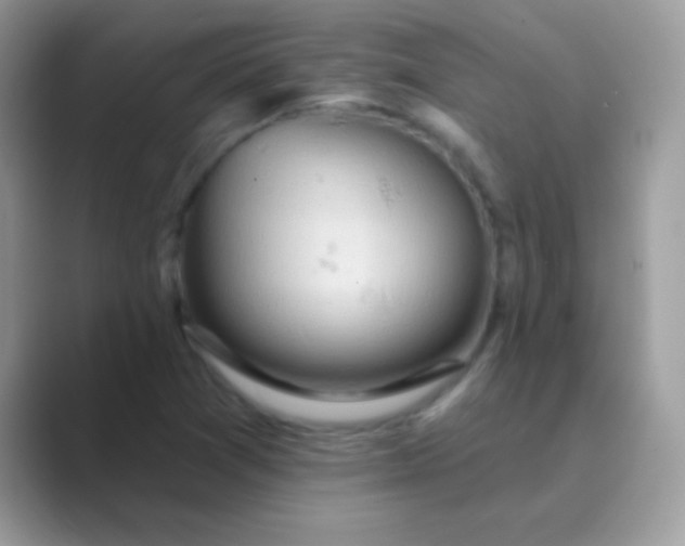 X0000089761361200707051826